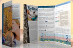 writing example: standard 3 panel brochure
