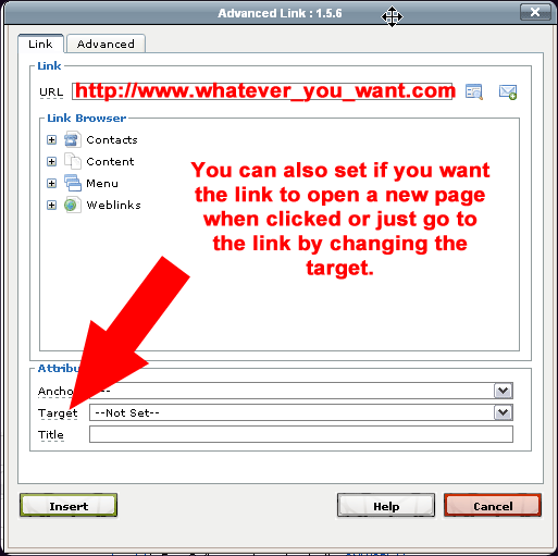 link_edit_window_basic